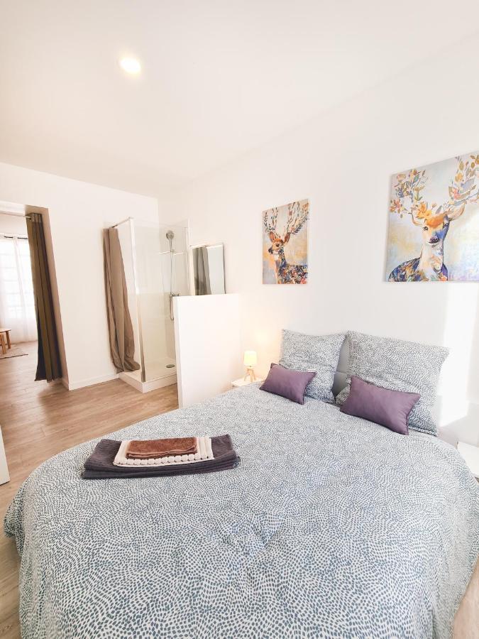 Le Valmy #4 - Cosy Studio - Grenoble Apartment Luaran gambar